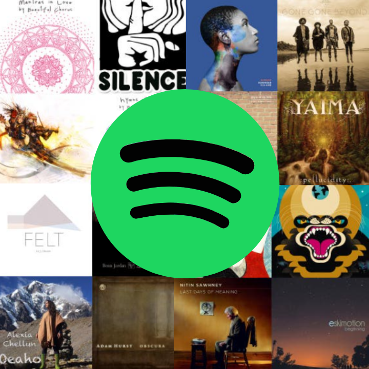 Katharina Wiedemann Spotify Yoga